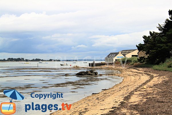 Plage du Scluze à Sarzeaux