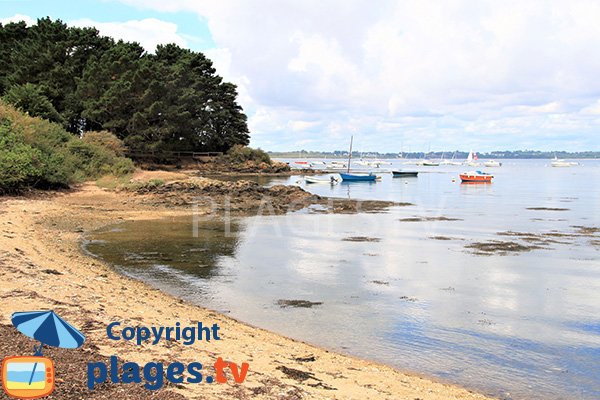 Photo de la plage du Scluze à Sarzeau