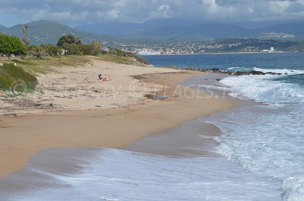 Cricca a Olmeto - Scodi Neri - Corsica