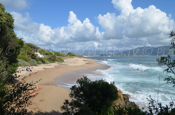 Plage de Scodi Neri à Olmeto