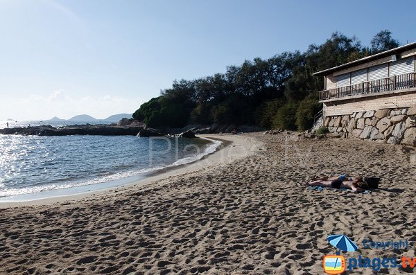 Vue sur l'île Sanguinaire depuis la plage du Scudo dans le golfe d'Ajaccio