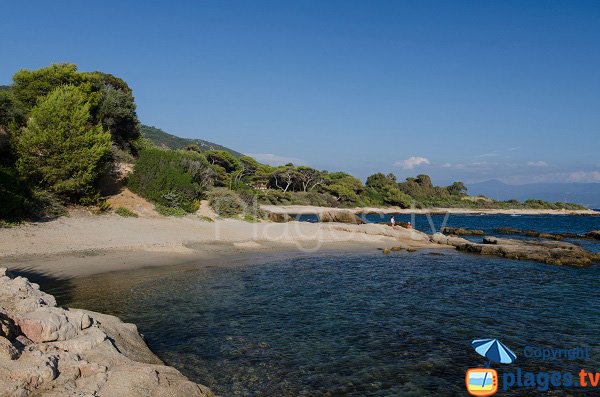 Photo of Scudo beach next to Tino Rossi home - Ajaccio