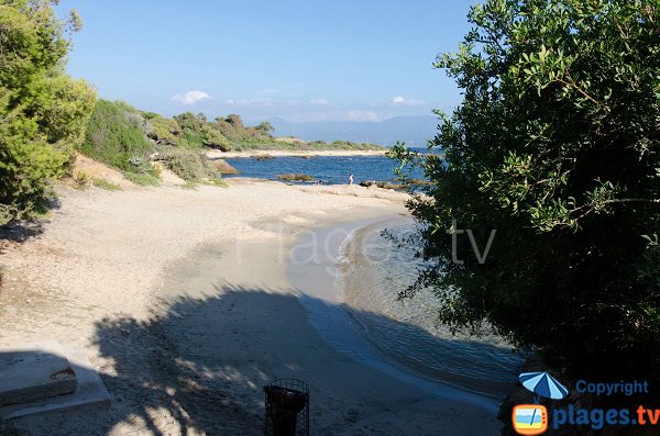 Scudo beach in Ajaccio in Corsica