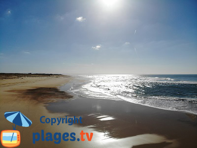 Plage à Seignosse dans les Landes