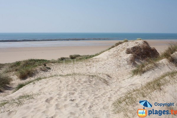 Plage du centre de Portbail