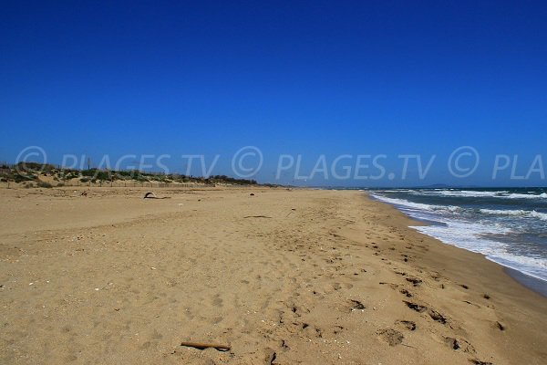 Spiaggia di sabbia a Sérignan in direzione di Portiragnes