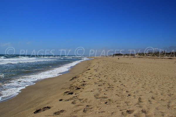 Plage à Sérignan en direction de Valras