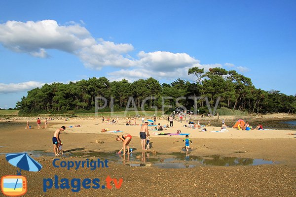 Plage des Sept Iles à Larmor Baden