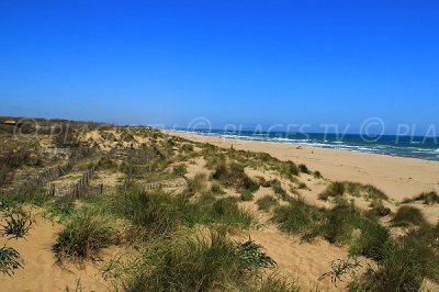 Plage avec des dunes de Sérignan