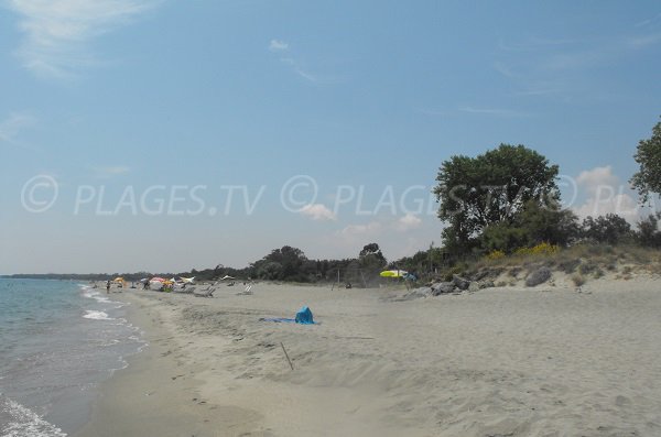 Plage de Serra Piana en direction de Linguizzetta - Haute Corse