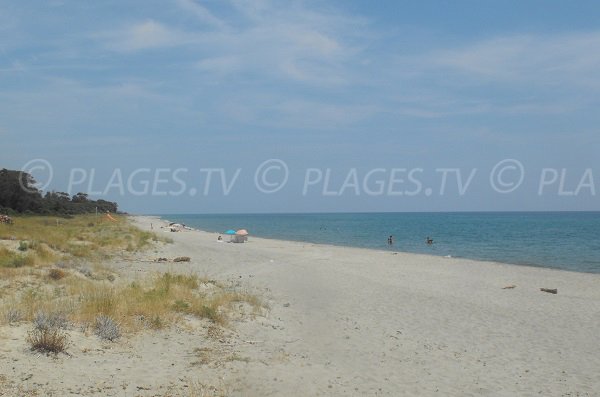 Serra Piana beach in Corsica - Canale di Verde