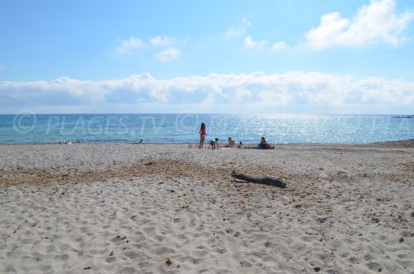 Photo de la plage de sable du Grand Capo à Ajaccio