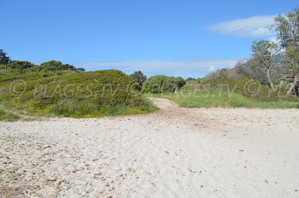 Access to the Grand Capo beach - Ajaccio