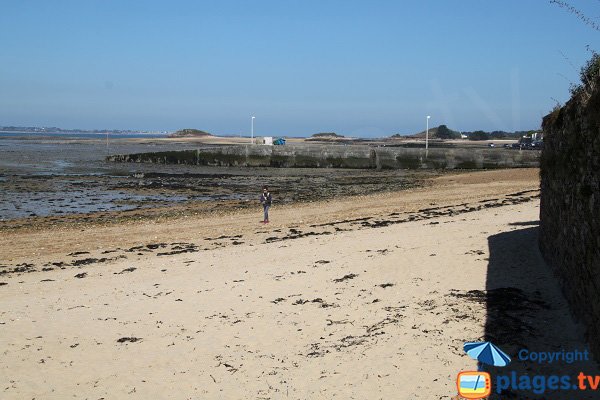 Vue sur le port de Carantec