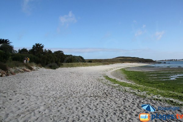 Plage du Skeiz à Guissény à marée basse