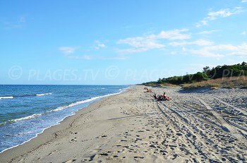 Photo de la plage de Sorbo Ocagnano