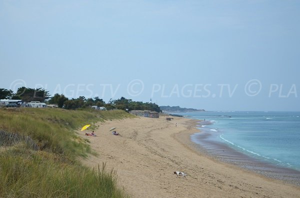 Beach in the north of Oleron island