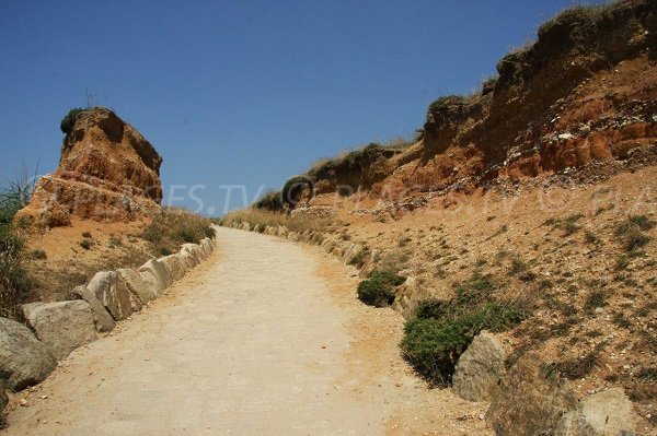 Sentier d'accès à la plage de la Mine - Pénestin 56