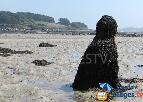 menhir sur la plage de Saint Cava de Plouguerneau