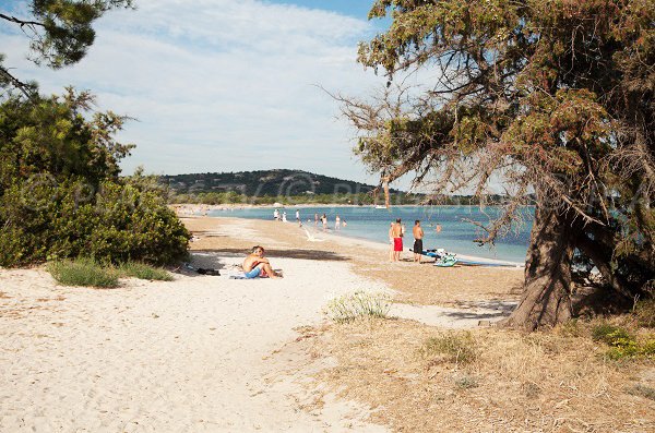 Plage Nord de St Cyprien en Corse