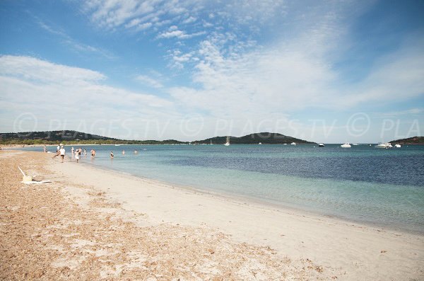 Plage sauvage de Saint Cyprien en Corse à Lecci