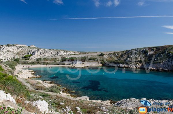 Photo of St Esteve beach in Frioul Island - Marseille - France