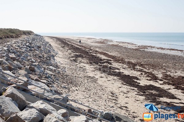 Plage sud de St Germain sur Ay (50)