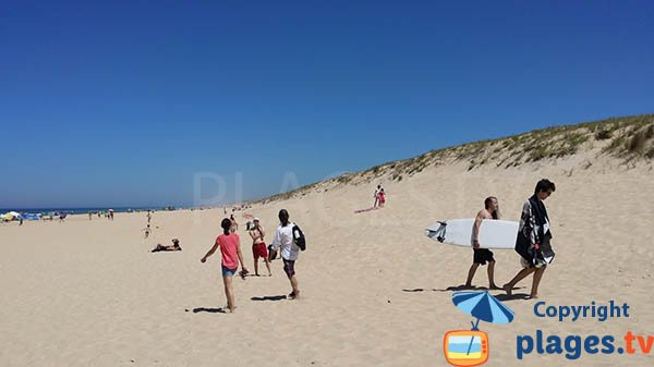 Dunes and surfers on the Saint Girons beach