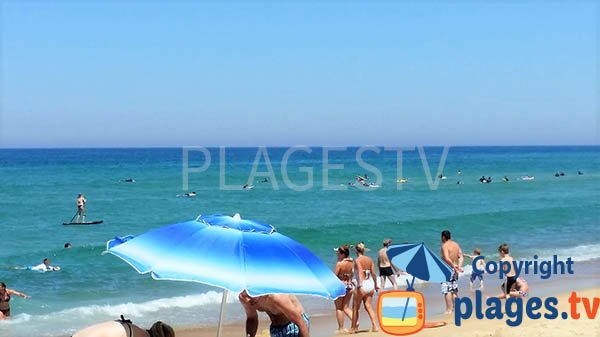 Swimming on the beach of St Girons - Landes