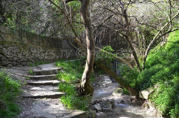 Ruisseau et escaliers plage de St Laurent d'Eze