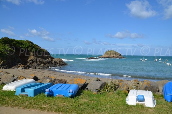 Photo de la plage de Saint Marc à Tréveneuc