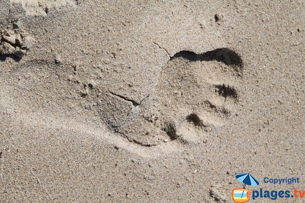 Sand of Erquy beach - St Michel