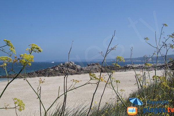 Foto della spiaggia St Michel a Erquy in Francia