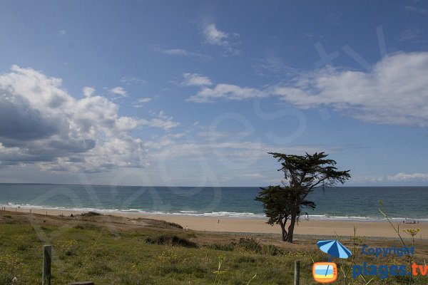 Foto della spiaggia di Saint Pabu a Erquy in Francia