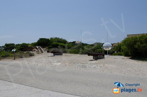 cannons near the arenas and the Oceanographic Institute - Embiez