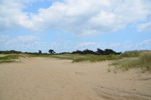 Natural reserve of Saint-Pierre Loperec - Brittany