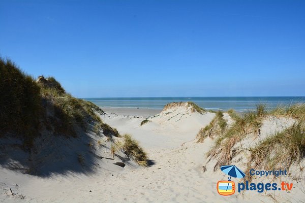 Vue sur la plage Marquenterre depuis les dunes - Baie de Somme