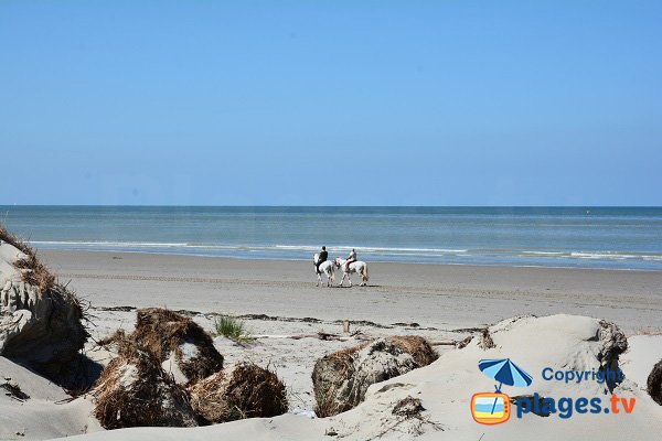 Plage sauvage en Picardie - St Quentin en Tourmont