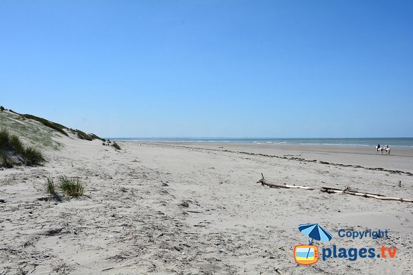 Plage de la Marquenterre en direction de Le Crotoy