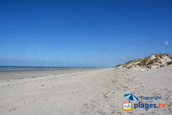 Photo de la plage de Marquenterre vers le nord