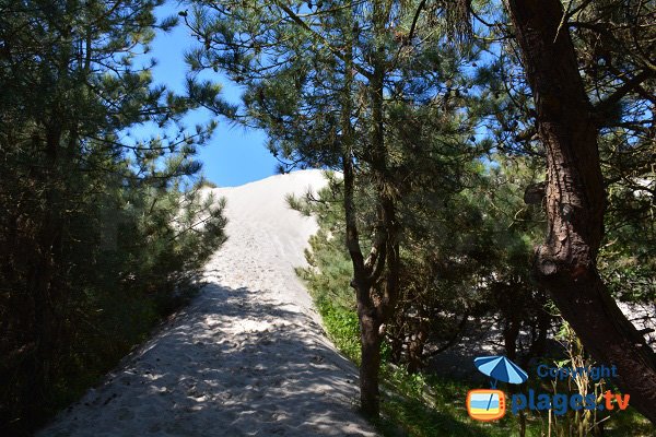 Montée de la dune de St Quentin en Tourmont