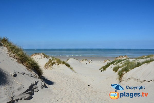 Photo de la plage de St Quentin en Tourmont