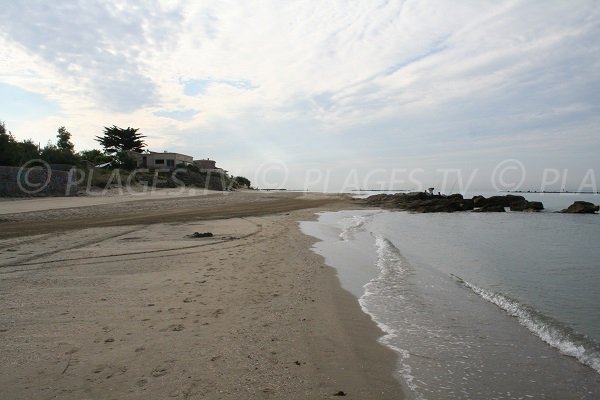 Environnement de la plage des Battuts au Grau d'Agde