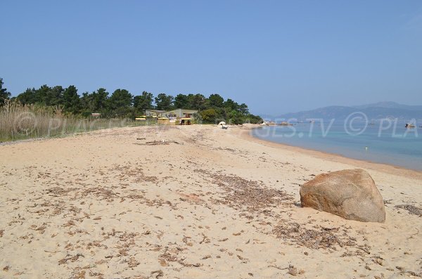 Photo of Olmeta beach in Corsica