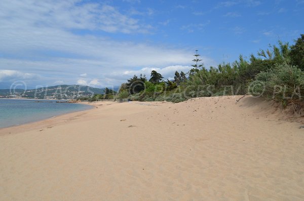 Extrémité Est de la plage d'Olmeta