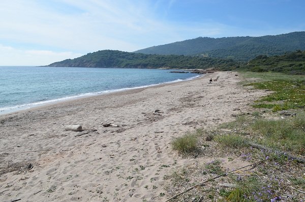 Free sand beach in Cargèse