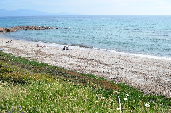 Sand beach in Cargèse - Stagnoli