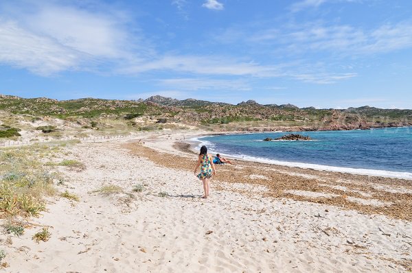 Belle plage à Bonifacio - baie de Stagnolu