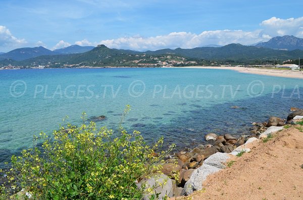 Foto della spiaggia di Stagnone a Calcatoggio - Corsica