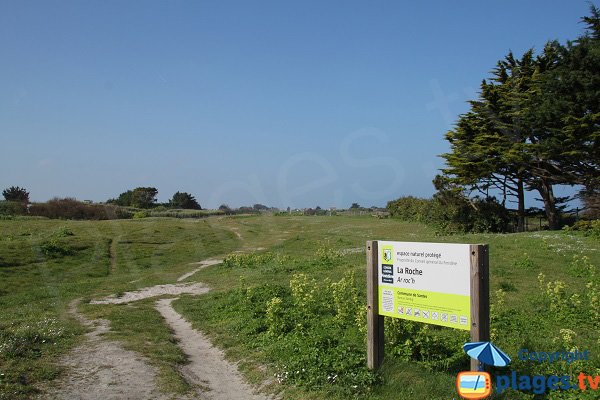 Beach environment of Staol - Santec